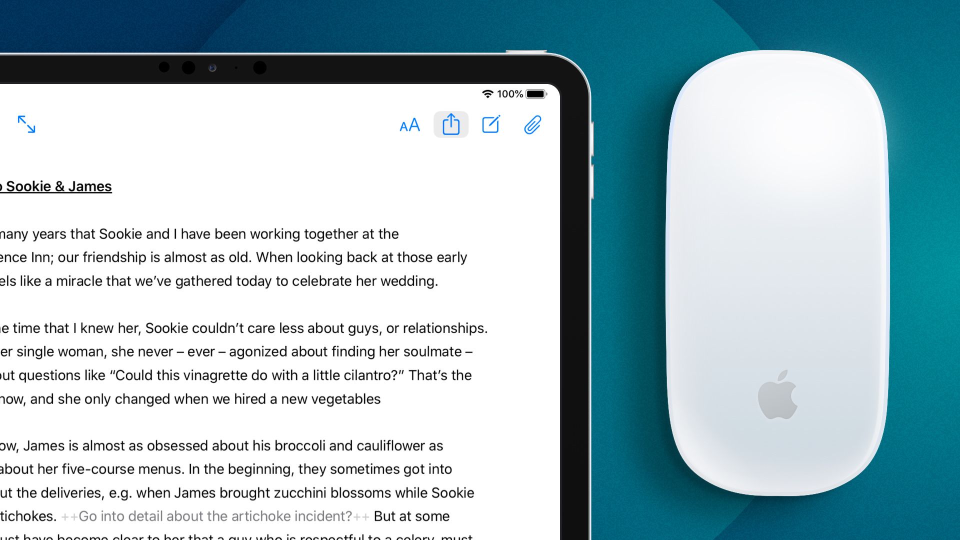 6 reasons to use the ipad as your professional writing machine