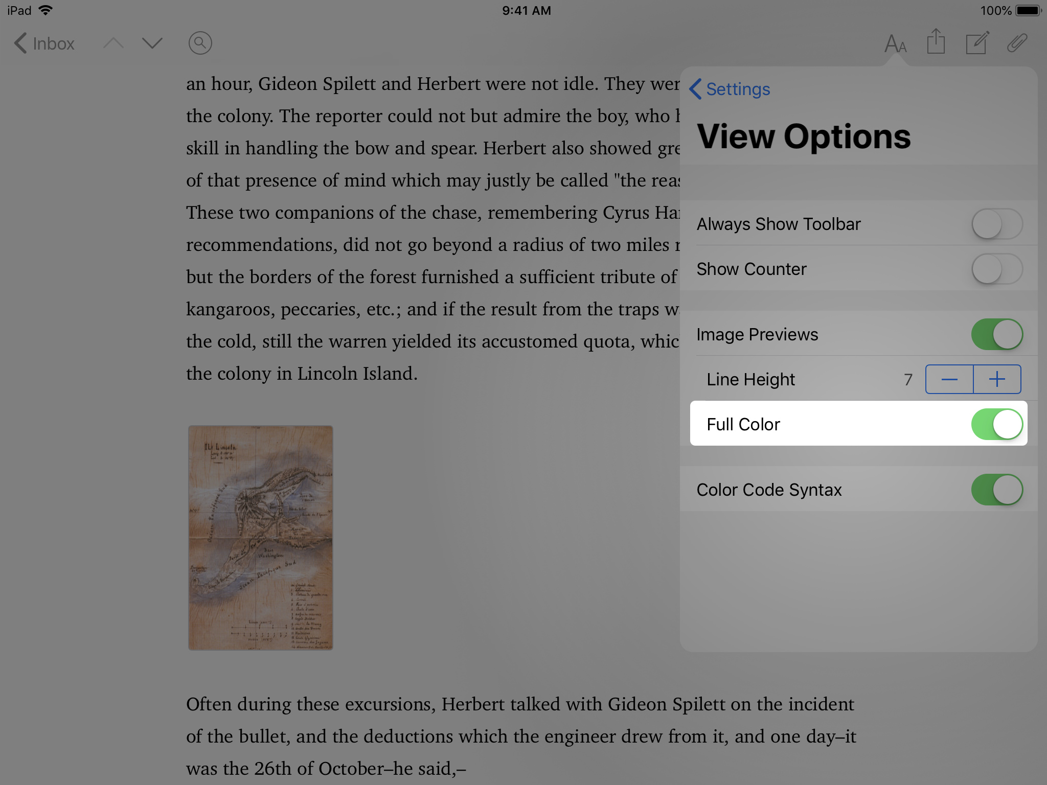 iPad Editor Setting > View Options